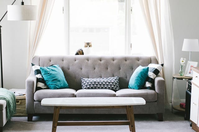 How to Clean a Leather Sofa